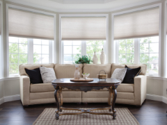 Lutron Blinds