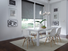 Lutron Blinds